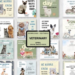 Pode incluir: Uma coleção de posts de mídia social com temas relacionados a animais de estimação. Os posts apresentam ilustrações de gatos e cães, juntamente com texto sobre saúde de animais de estimação, dicas de higiene e serviços veterinários. O post central diz "Veterinary April Social Media Posts."