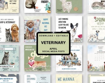 Veterinary Instagram Post Templates | Pet Business Social Media (Canva)