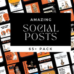 May include: A collage of 65+ social media post templates for pet care businesses. The templates feature a variety of Halloween-themed designs with orange, black, and white colors. The text "AMAZING SOCIAL POSTS 65+ PACK" is displayed in the center of the image.