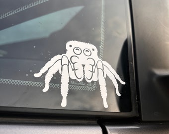 Jumping Spider decal