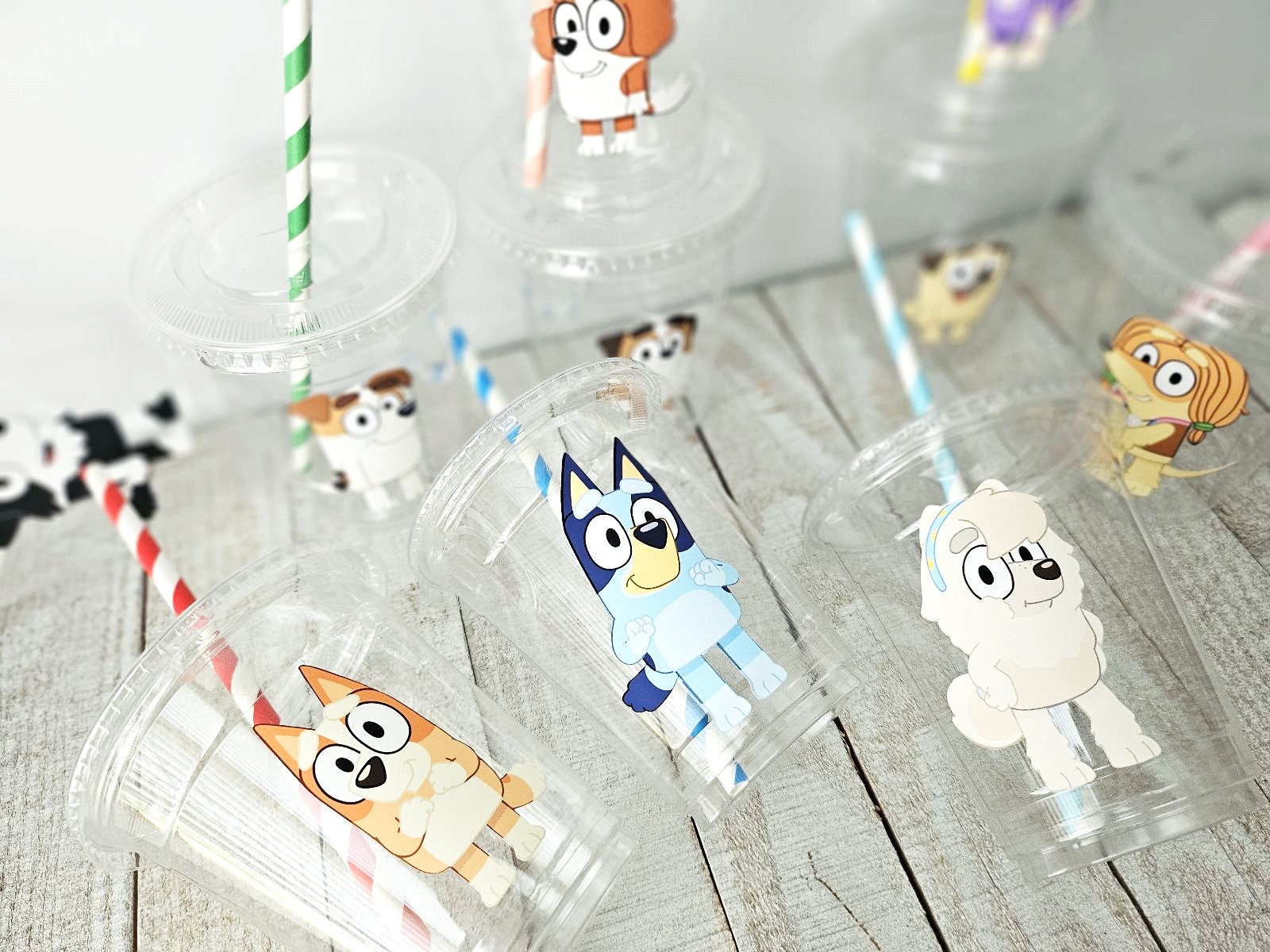 Bluey Birthday Cups Bluey Party Cups Bluey Birthday Supplies Bluey Tumblers  Bluey Theme Cups Bluey Party Favors 