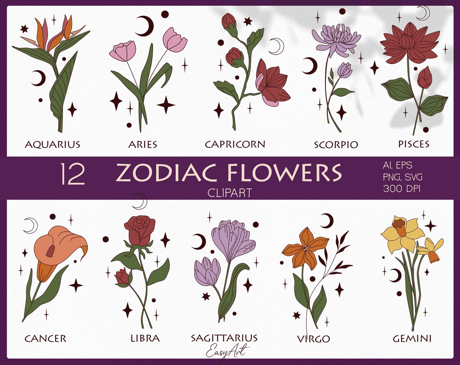 Birth Month Flower SVG, Flower Clipart, Botanical SVG, Zodiac Flower