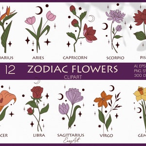 Flor del mes de nacimiento SVG, imágenes prediseñadas de flores, SVG botánico, imágenes prediseñadas de flores del zodiaco, símbolos del horóscopo, gráfico de flores, mes de nacimiento de bricolaje, comercial