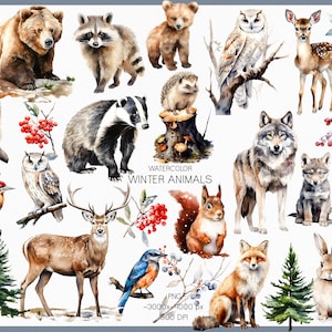 Clipart di animali della foresta ad acquerello, PNG di animali del bosco, PNG individuali, animali selvatici, orso volpe gufo cervo, illustrazione di animali invernali