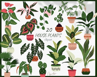 House Plants Clipart, Greenery PNG, Planner Stickers (Digital Download)
