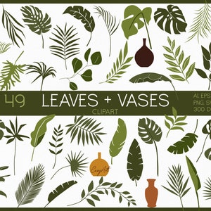 Feuilles tropicales SVG, clipart feuille de Monstera, feuilles de la jungle PNG, branche de palmier SVG, clipart verdure, feuille de bananier, plage tropicale, publicité