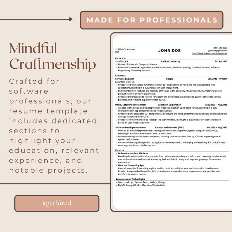 Professional Software Resume Template Editable in Word and Google Professional Software Resume Template Editable in Word and Google