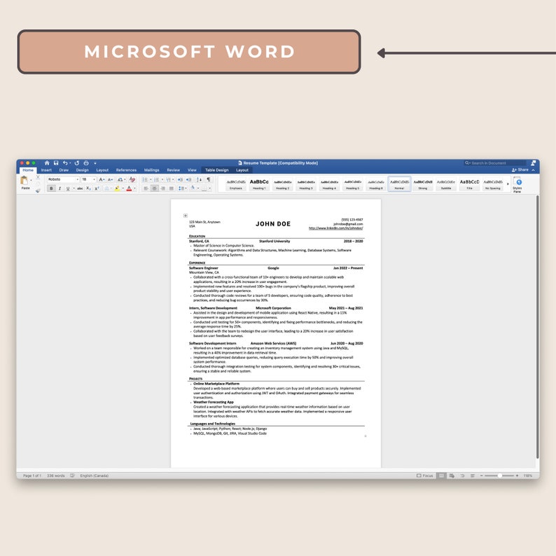 Professional Software Resume Template Editable in Word and Google Professional Software Resume Template Editable in Word and Google