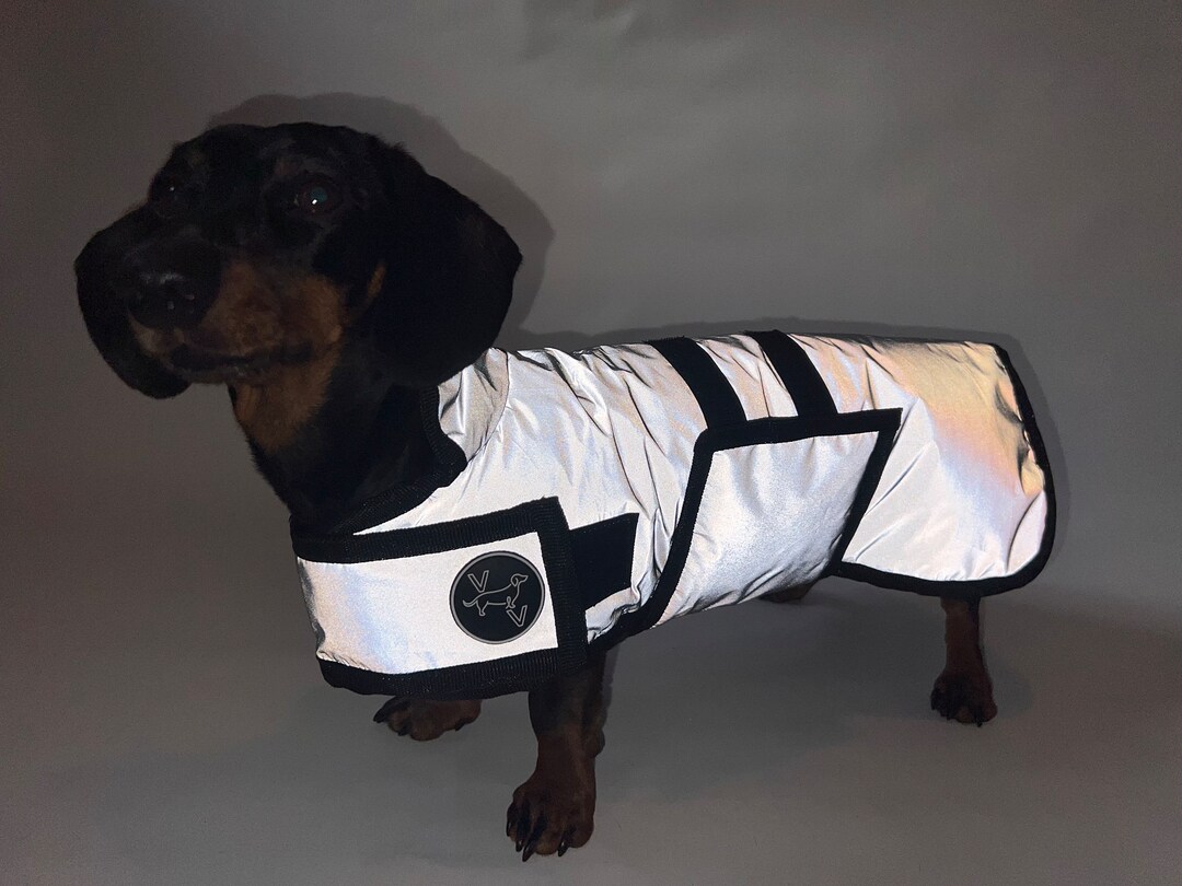 Dachshund REFLECTIVE Jacket Luxury Dachshund Jacket Fleece Etsy UK