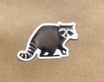 City critter Raccoon sticker - vinyl sticker Raccoon