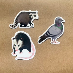 Trio of city critters - urban wildlife sticker pack - opossum, raccoon, pigeon set of 3 stickers