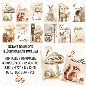 Carte cardine per bambini con animali della foresta | Carte stampabili | File digitale | Istruzioni incluse | Download immediato