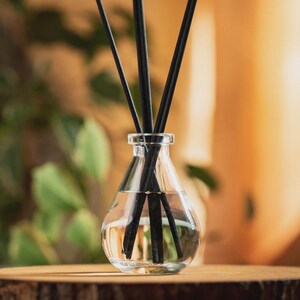 May include: A clear glass essential oil diffuser with black reeds. The diffuser is filled with a clear liquid and sits on a wooden surface. The background is blurred, with green foliage and a warm, neutral tone.