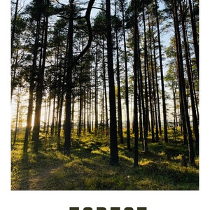 La foresta è per il riposo Wallart citazione incoraggiante cartolina carta da parati speranza tendenza download digitali stampe Dio fede ispirazione natura JPG