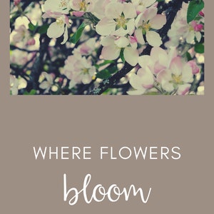 Onde as flores florescem, o mesmo acontece com a esperança, citação inspiradora, primavera, primavera, flores de cerejeira, árvore, macieira, verão, jardim, cartão, paz interior, jpg