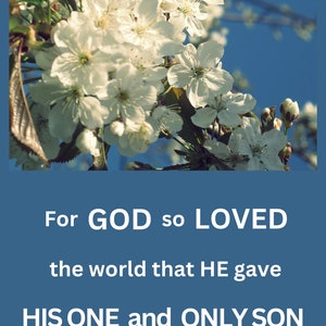 Porque Deus amou o mundo de tal maneira João 3:16 primavera flor árvore maçã ameixa cereja versículo da Bíblia citação da Escritura JPG papel de parede amor Jesus fé