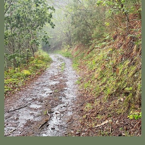 Camino Rainy days Wallart citation encourageante papier peint carte postale coucher de soleil espoir tendance téléchargements numériques impressions Dieu foi JPG