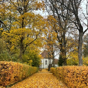 Klein stadje Letland bladeren Lutherse kerk architectuur bomen herfst herfst inspirerend genieten van prachtig behang jpg