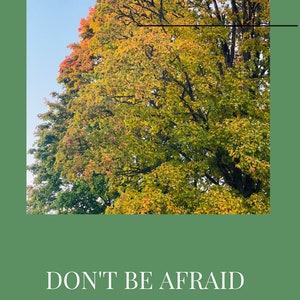 Automne feuilles d'automne arbres colorés inspirants changements de poste n'ayez pas peur papier peint jpg carte postale motivant JPG