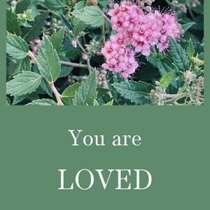 Blumenstrauch pink lila inspirierend Spruch Liebe geliebt joggen Natur Bäume Spruch Handy Hintergrundbilder Garten Gartenarbeit JPG