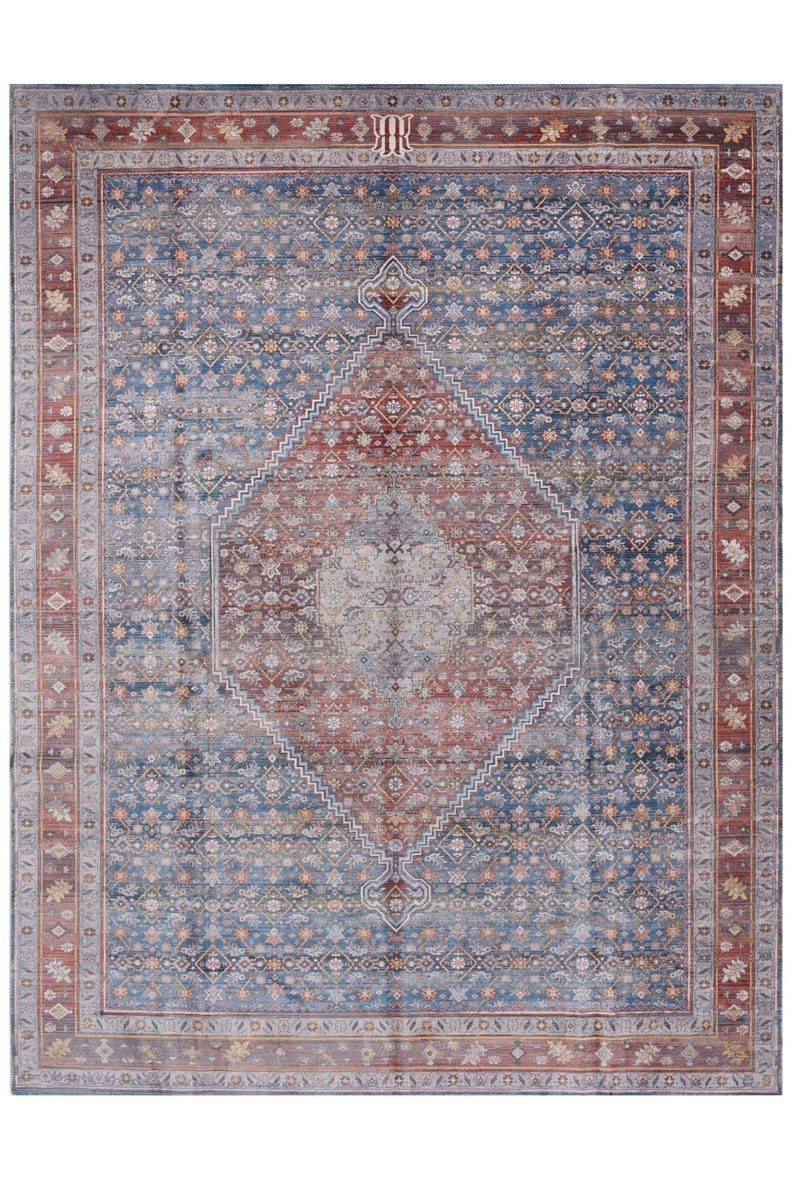 Traditional Rug 6x9, Authentic Rug for Living Room, Pale Blue and Red Turkish Rug , Non Slip Carpet, Washable Rug, Gift for Him Housewarming image 2