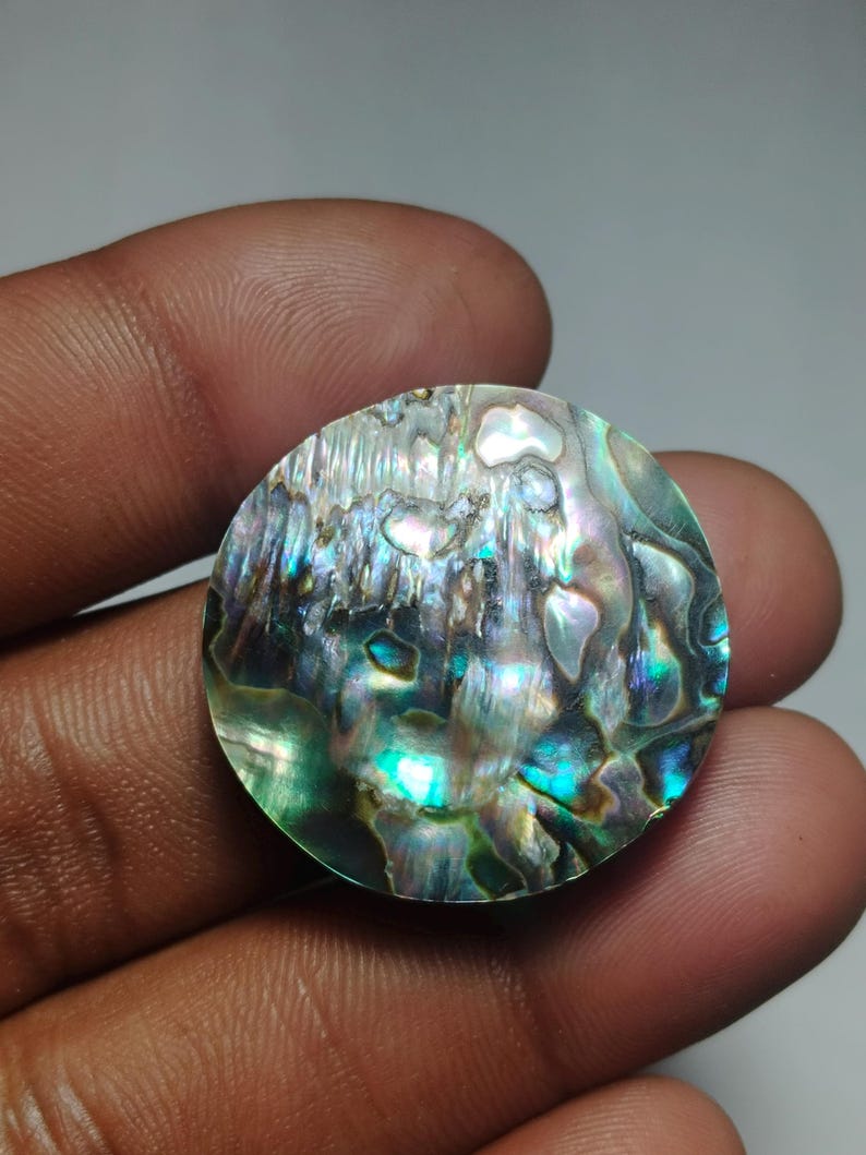 Silver Ormer Shell 100% Natural Ormer Shell, Abalone Shell, Paua Shell, Perlemoen Shell ...