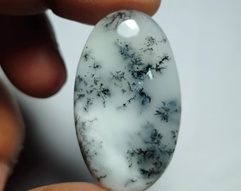 May include: An oval-shaped gemstone with a white base and intricate black dendritic inclusions, resembling tree-like patterns. The polished surface reflects light, highlighting the natural beauty of the stone. The gemstone is held between fingers.
