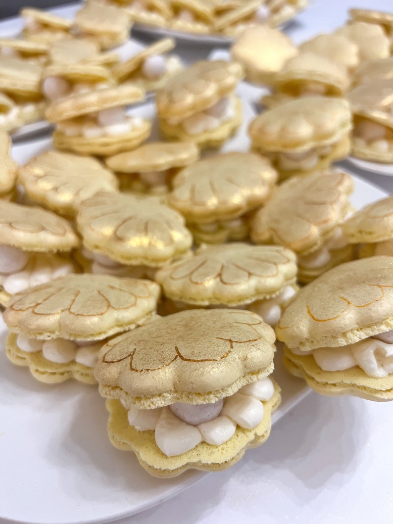 Seashell Macaron Template Transfer Sheet - Etsy