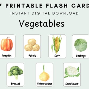 27 tarjetas didácticas de verduras para niños, aprendizaje preescolar, aprendizaje de verduras, tarjetas de verduras, tarjetas Montessori, educativas, emparejamiento, clasificación
