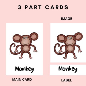 以下が含まれることがあります： 動物について学ぶための3つのパーツのカードセット。メインカードには、白い顔をした茶色の猿の漫画画像が描かれています。ラベルカードには「サル」と書いてあります。