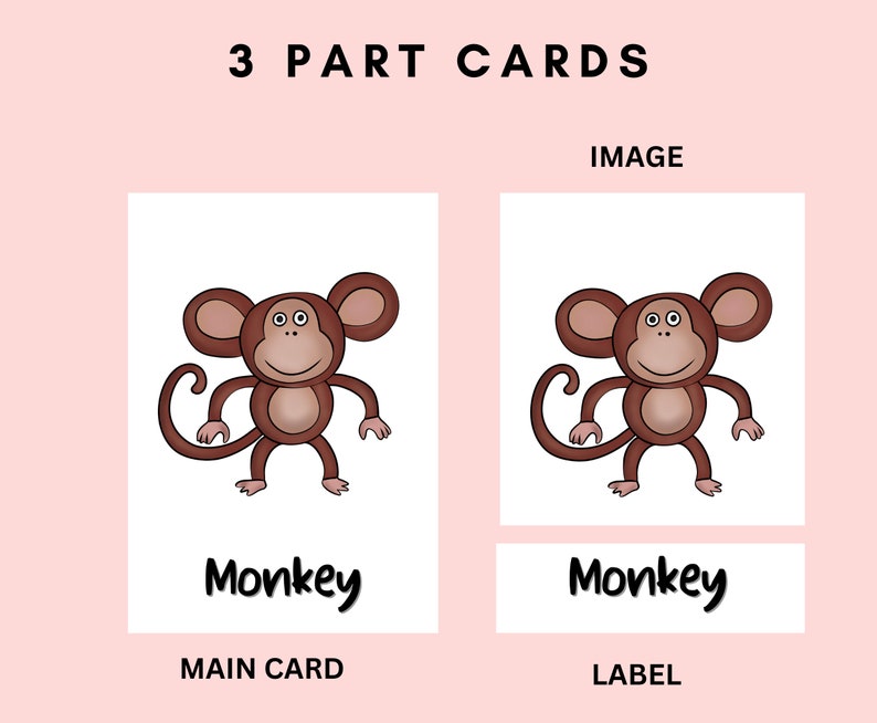 以下が含まれることがあります： 動物について学ぶための3つのパーツのカードセット。メインカードには、白い顔をした茶色の猿の漫画画像が描かれています。ラベルカードには「サル」と書いてあります。