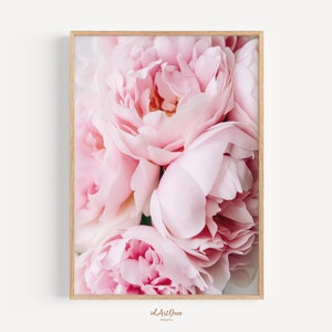 May include: A close-up of a bouquet of pink peonies. The flowers are in full bloom and have a soft, delicate texture.