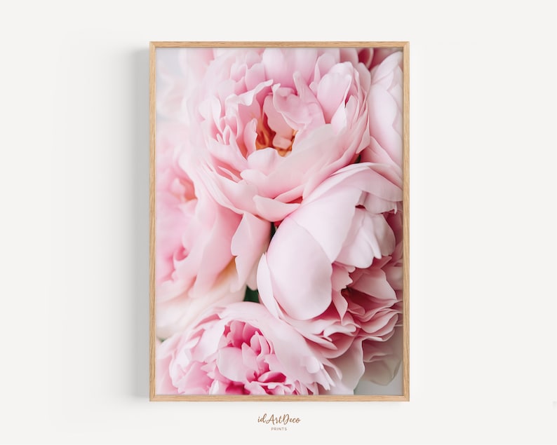May include: A close-up of a bouquet of pink peonies. The flowers are in full bloom and have a soft, delicate texture.