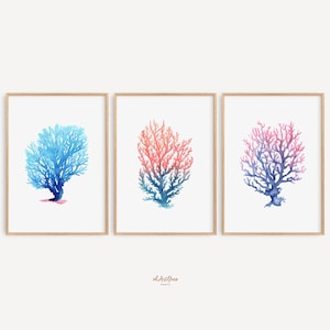 Colorful Coral Seaweed Print Set of 3, Coastal Wall Art Decor, Beach Botanical Prints, Coral Painting, Ocean Inspired Art Coastal Home Decor