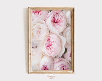 Decorazione murale con petali di peonia, stampa di fiori rosa, stampa di peonie, poster con fotografia di fiori