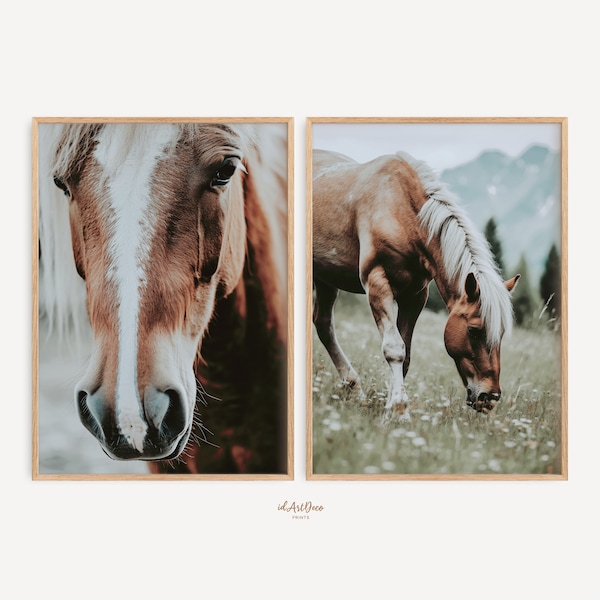 Western Boho Set of 2 Prints, Wild Horse Print, Southwest Farmhouse 2 Pieces Large Wall Art, Printable Equestrian Photography, Horse Poster