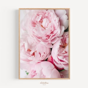 May include: A close-up of a bouquet of pink peonies. The flowers are in full bloom and have a soft, delicate texture.