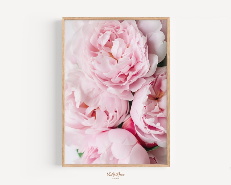 May include: A close-up of a bouquet of pink peonies. The flowers are in full bloom and have a soft, delicate texture.