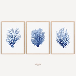 Coral Seaweed, Blue Watercolor Set of 3 Prints, Nautical Room Decor, Minimalist Artwork, Botanical Print, Beach House Art, Nature Print