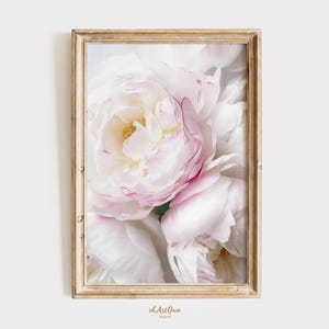 Peony Art Print, Pink Flower Wall Art, Wall Decor, Peony Photography Digital Download, Flower Photography Printable, Peonies Spring Decor