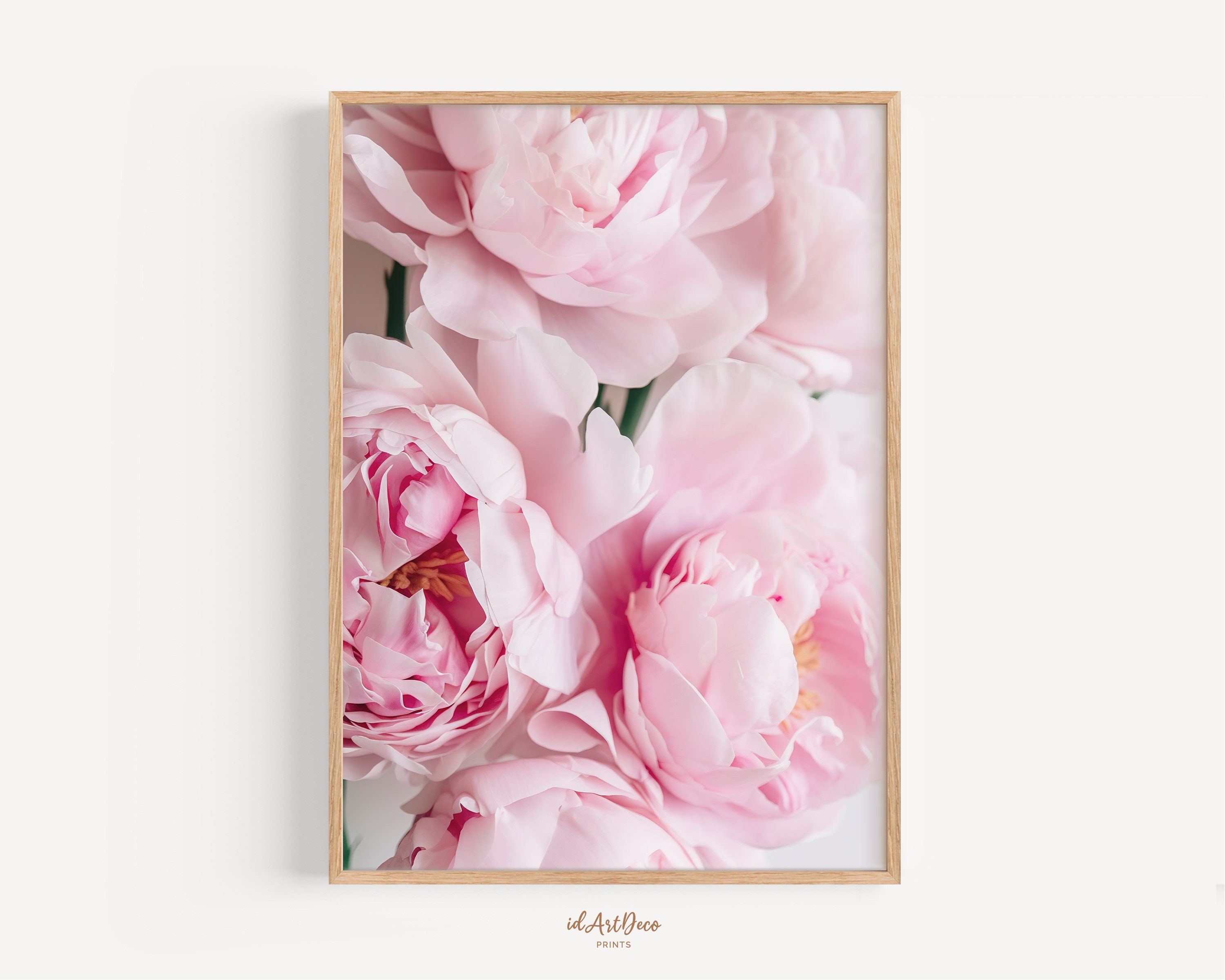 Peony Print Set of 3 Flower Print Peony Wall Art Blush Pink - Etsy