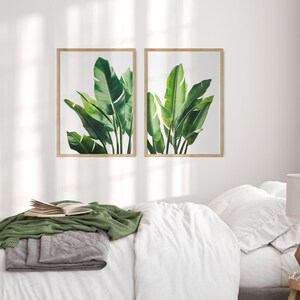 May include: Two framed prints of green tropical leaves, hanging on a white wall above a white bed with a green throw blanket.