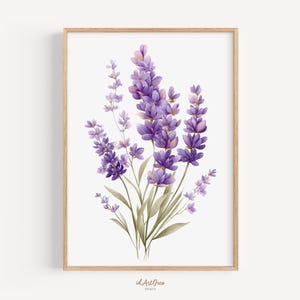 May include: A framed art print featuring a watercolor illustration of lavender flowers. The lavender blooms are a vibrant purple, with green stems and leaves. The artwork is set against a white background and framed in a light wood frame.