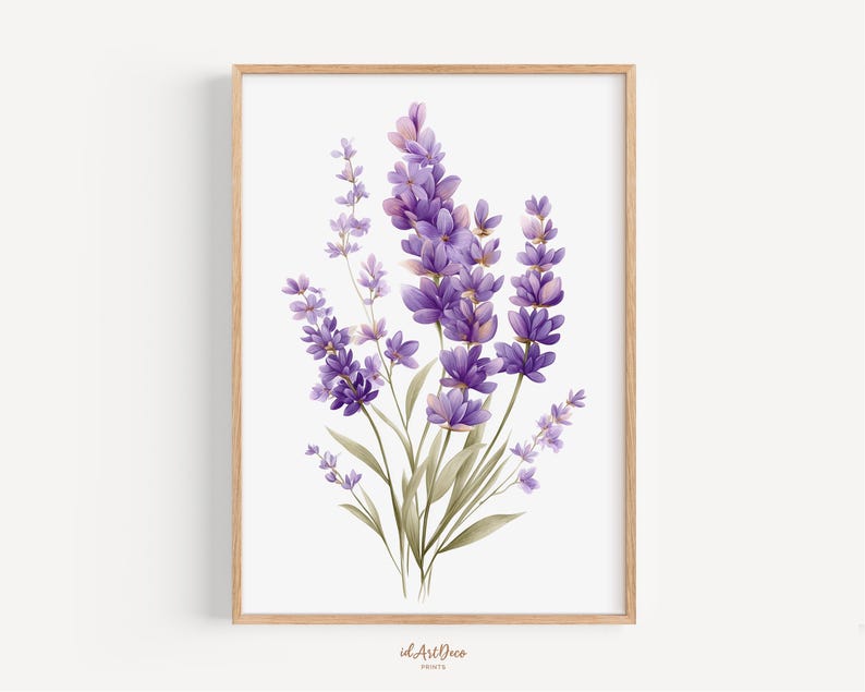 May include: A framed art print featuring a watercolor illustration of lavender flowers. The lavender blooms are a vibrant purple, with green stems and leaves. The artwork is set against a white background and framed in a light wood frame.