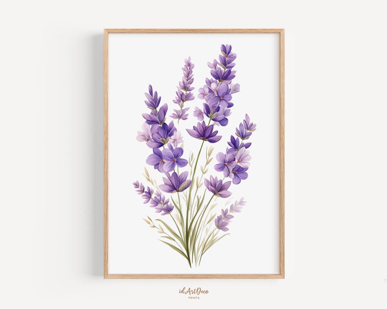 May include: A framed print featuring a watercolor illustration of lavender flowers. The artwork showcases vibrant purple blooms with green stems and leaves against a white background. The frame is made of light-colored wood.