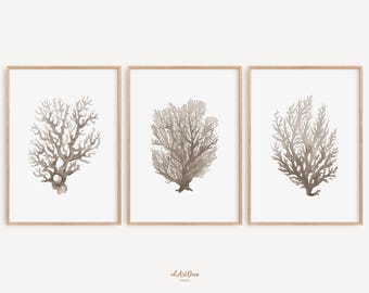 Coral Seaweed Prints Set 3, Coastal Nautical Wall Art, Warm Watercolor Botanical Printable