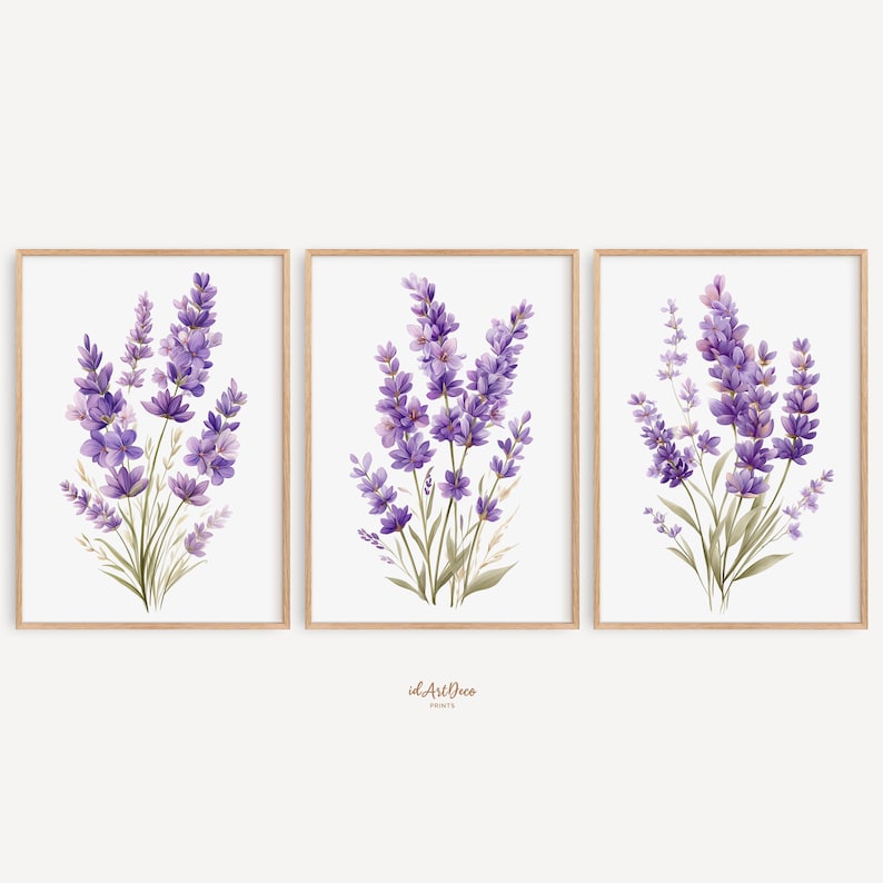 May include: Three framed watercolor prints featuring lavender bouquets. Each print showcases a cluster of purple lavender flowers with green stems and leaves against a white background. The frames are a light brown color.
