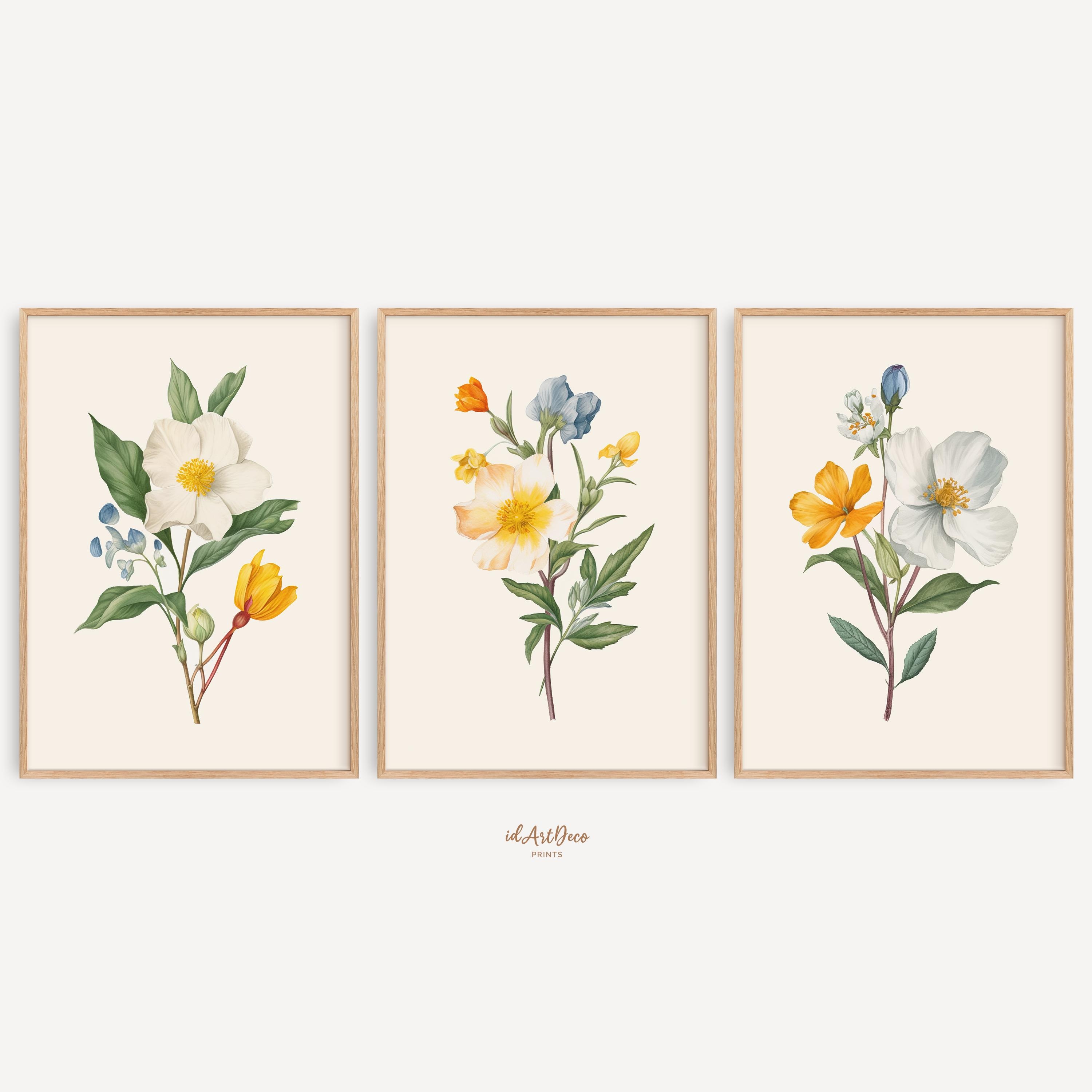 Vintage Botanical Wall Art Set of 3, Antique Floral Prints, Farmhouse ...