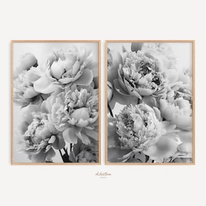 May include: A set of two black and white prints featuring close-up photographs of peonies. The prints are framed in a light wood frame.