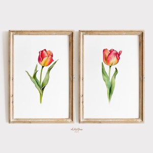 Tulip Print Set of 2, Watercolor Flower Art, Botanical Prints, Red Tulip Poster, Digital Download